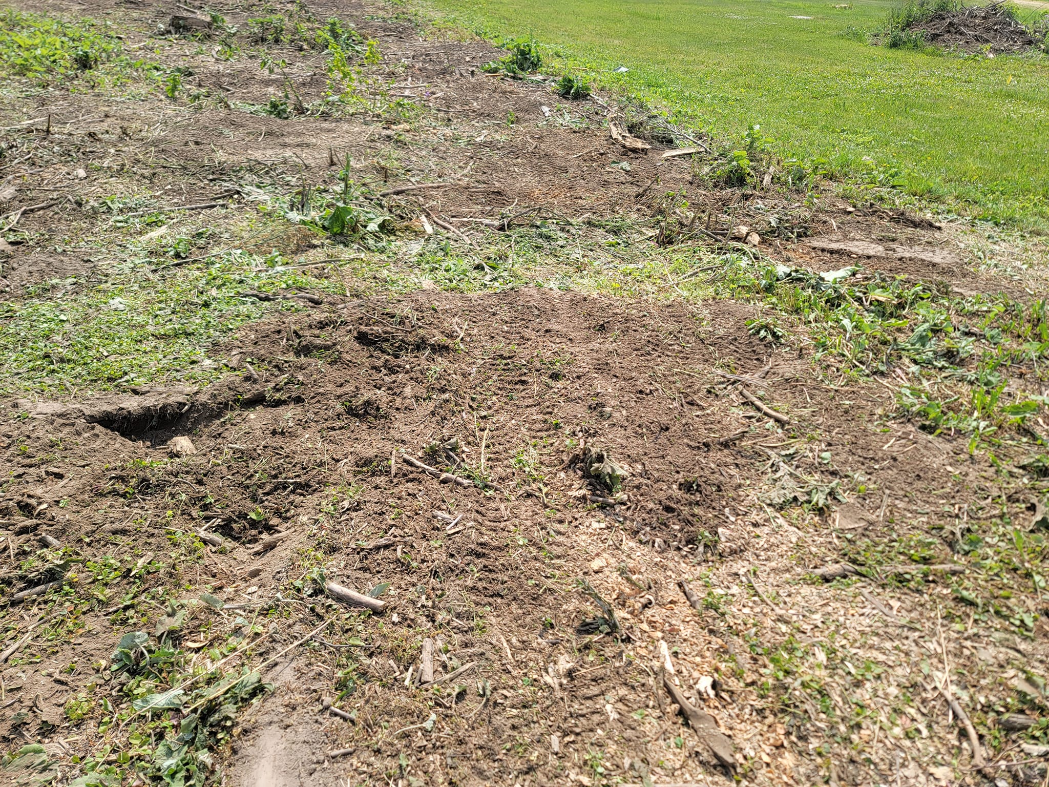 Stump removal continued